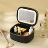 Mini LED Lighted Makeup Bag