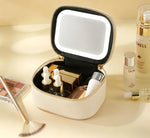 Mini LED Lighted Makeup Bag
