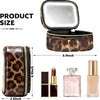 Mini LED Lighted Makeup Bag